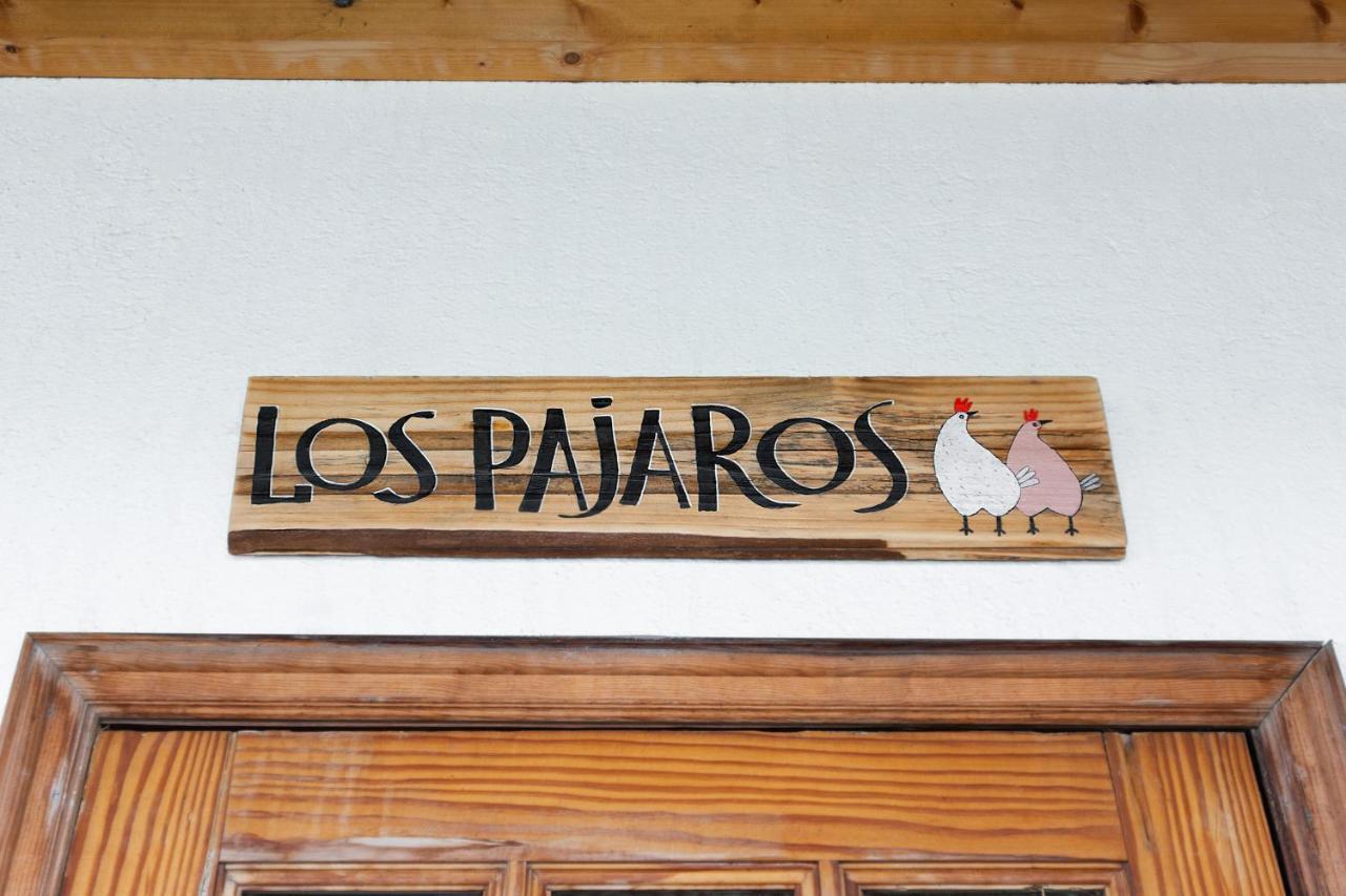 Los Pajaros 산타크루스데 테네리페 외부 사진